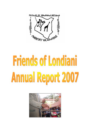 2007 annual report