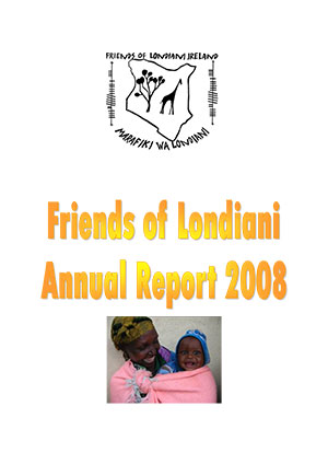 2008 annual report