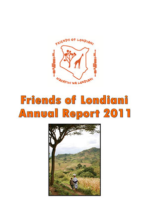 2011 annual report