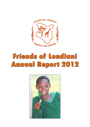 2012 annual report