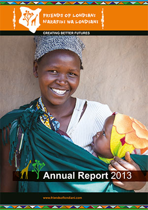 2013 annual report