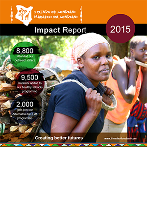 2015 impact report